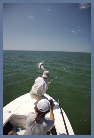 catching a tarpon on your flyrod